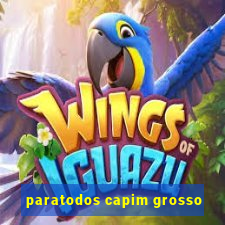 paratodos capim grosso